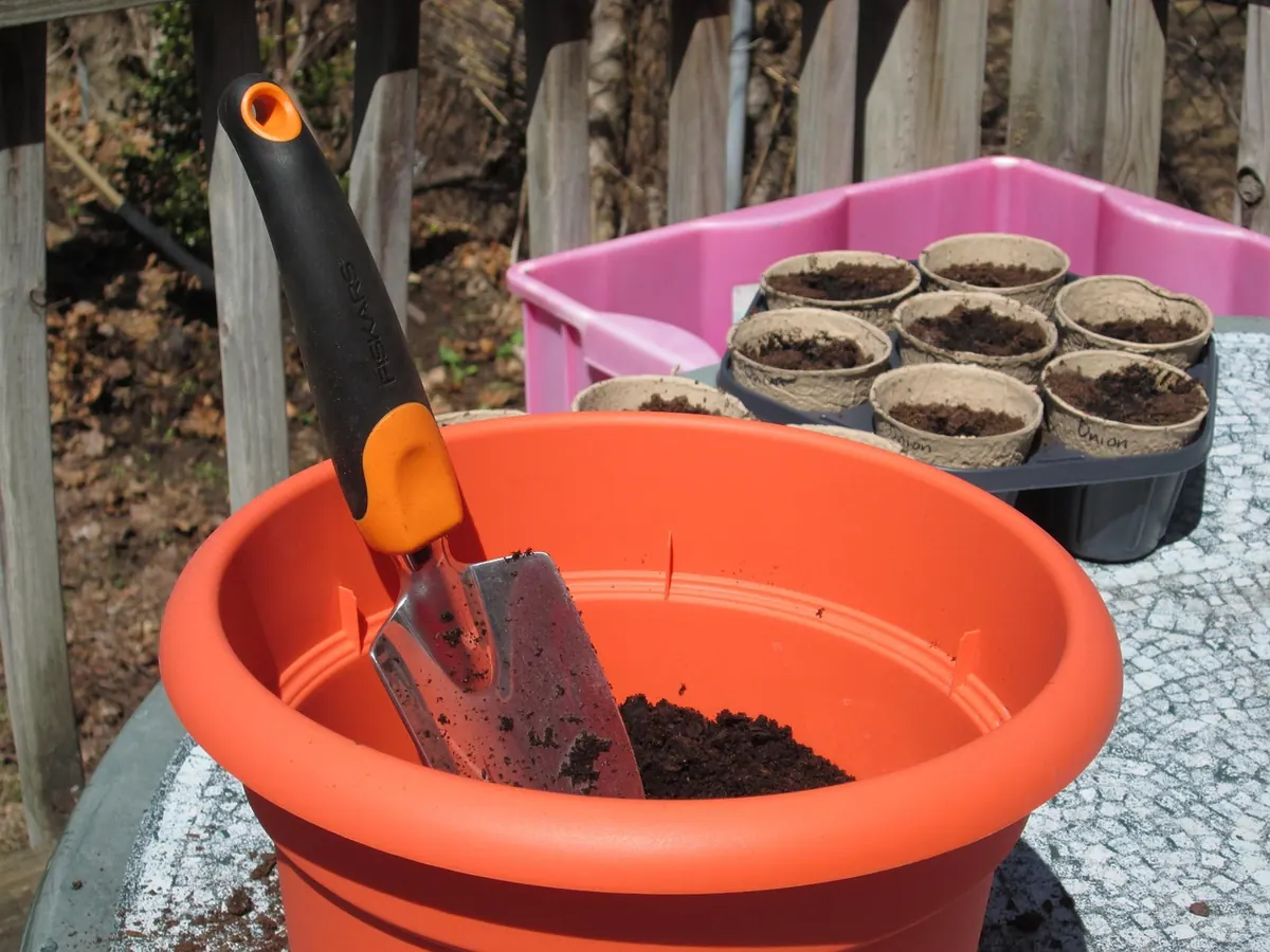 How to Create a Low-Maintenance Patio Container Garden in the UK